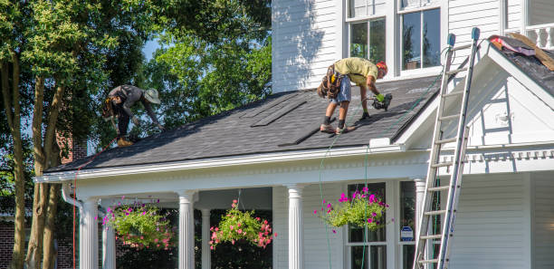 Best Roof Leak Repair  in Franklin Park, FL